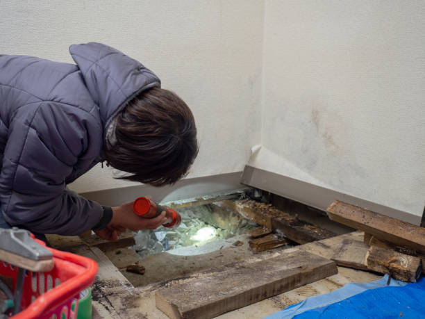 Best Asbestos and Lead Testing During Mold Inspection  in Norwood, OH