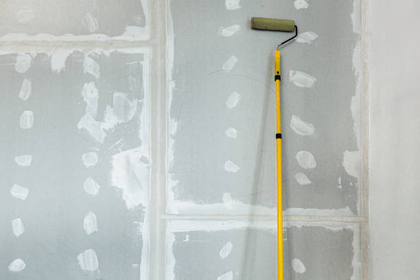 Best Real Estate Mold Inspection  in Norwood, OH