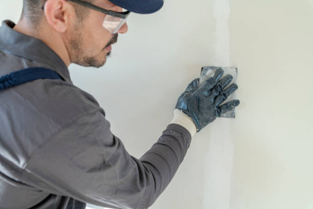 Best Comprehensive Air Testing for Mold Contaminants  in Norwood, OH