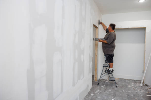 Best Forensic Mold Investigation  in Norwood, OH