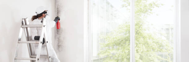 Best HVAC Mold Inspection and Cleaning  in Norwood, OH